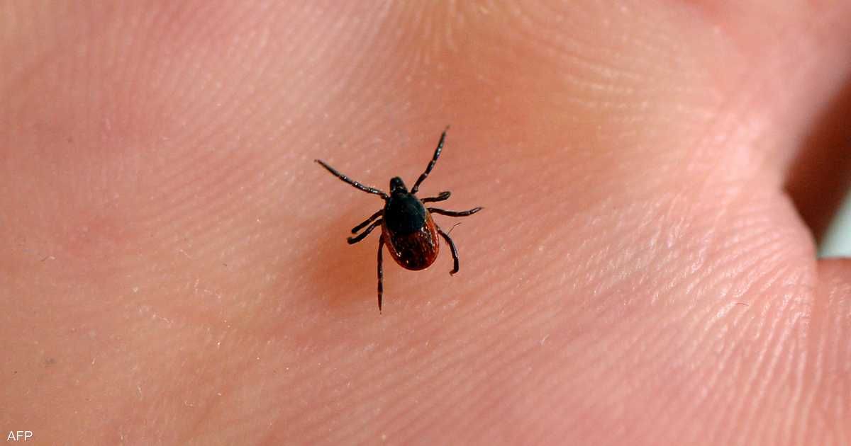 العالم اليوم - من لدغة إلى موت.. توثيق أول وفاة بسبب متلازمة "ألفا غال"