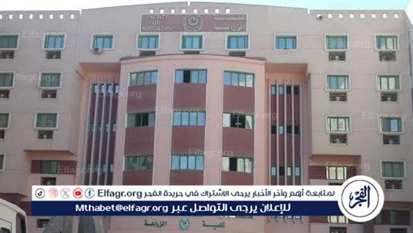 "الإحصاء": 82.4% من الأطفال يسيرون على المسار الصحيح للنمو في السعودية خلال 2025