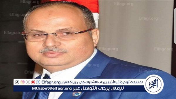 مسؤول بالاتحاد العالمي للمواطن المصري بالخارج: بيان السيسي يعيد الانضباط ويعزّز شفافية الانتخابات