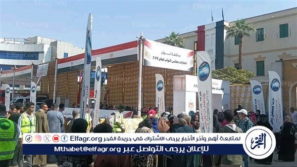 موعد إعادة انتخابات مجلس النواب 2025 المرحلة الأولى