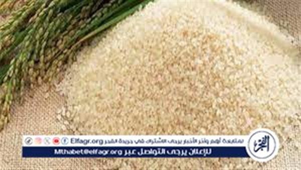 إحالة مخالفات جمعية منتجي الأرز والقمح للنيابة العامة.. وزير الزراعة يكشف حجم التجاوزات وخطة الإصلاح