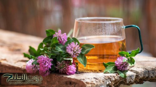 ضاع عمرنا واحنا منعرفهاش..أفضل 5 أعشاب تنظف الجسم من السموم في الصيف – مجربة وآمنة