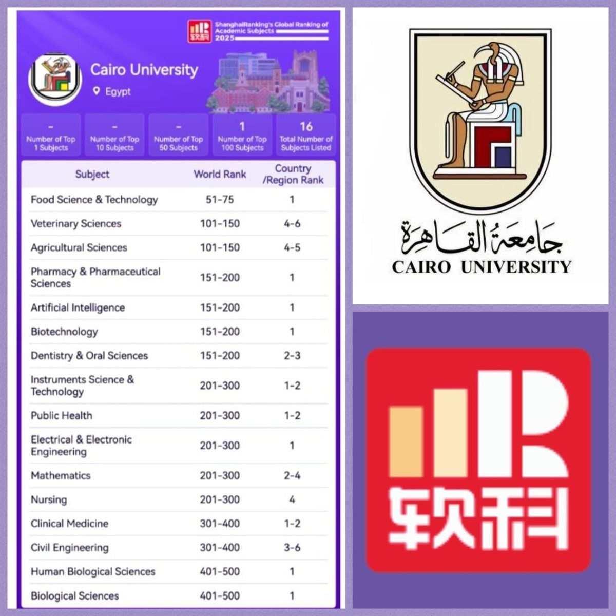 قفزة عالمية جديدة: جامعة القاهرة ضمن الأفضل عالميًا في 16 تخصصًا وفق تصنيف شنغهاي