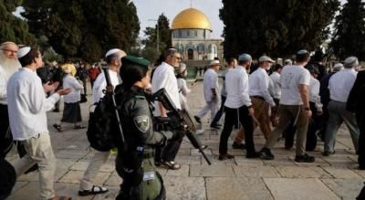مستعمرون يقتحمون المسجد الأقصى