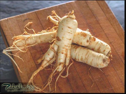 لخفض نسبة السكر في الدم خلال «30 دقيقة» عليكم بهذه العشبة