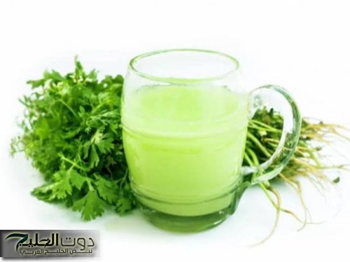 «العشبة الجبارة».. هتخلصك من السموم ورواسب الاملاح بالجسم ومدره للبول وبها مضادات أكسدة.. جربها دلوقتي