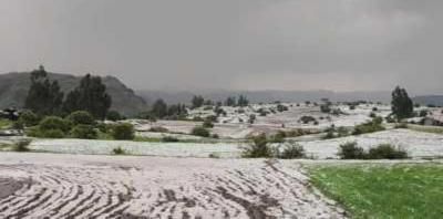 أخبار اليمن : الصقيع مستمر.. وتحذير جديد من الشوافي