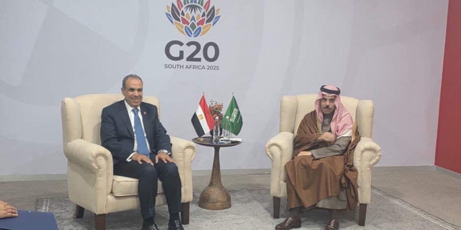 لقاء وزير الخارجية مع نظيره السعودي على هامش أعمال قمة مجموعة العشرين بجوهانسبرج