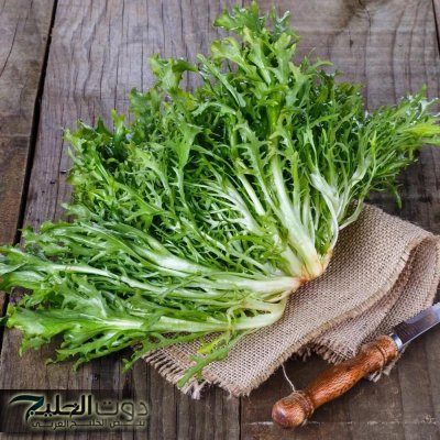 «خدها بعد الأكل ومعدتك هتدعي لك!».. أعشاب طبيعية سحرية بتحسن الهضم وبتطرد الغازات في ثواني.. فوائدها لا تُعد