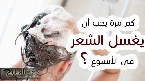 كم مرة يجب غسل الشعر في الأسبوع؟.. دارسة تكشف مفاجأة