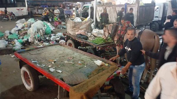 محافظة الجيزة تكثف حملاتها الليلية لضبط عربات الكارو والفريزة بإمبابة والوراق