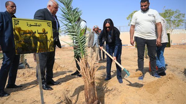 وزيرة التضامن الاجتماعي تغرس نخلة في حديقة 30 يونيو بالوادي الجديد
