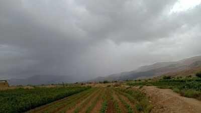 أخبار اليمن : أجواء شديدة البرودة في 12 محافظة