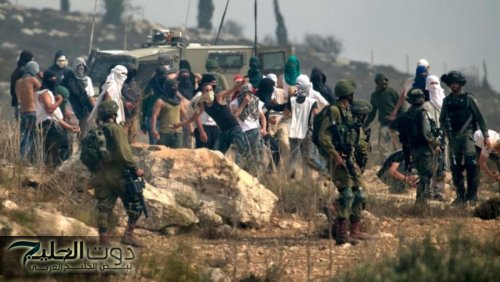 مستوطنون يحرقون أراضي زراعية شمال رام الله