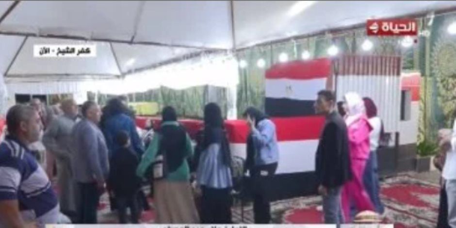منذ قليل .. غلق لجان التصويت بالمرحلة الثانية من انتخابات مجلس النواب