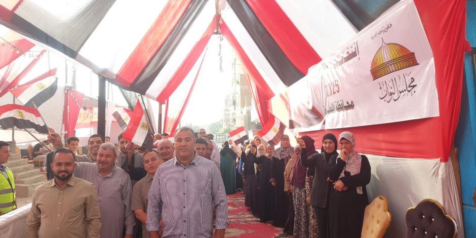 البيان الختامي لعملية التصويت في انتخابات مجلس النواب 2025.. المرحلة الثانية