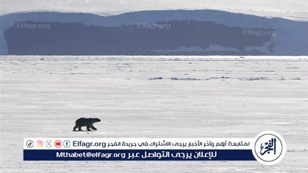 روسيا تنسحب من الاتفاقية الأوروقطبية للتعاون في الوقاية من حالات الطوارئ