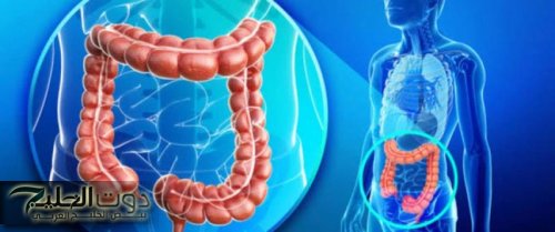 ضاع عمرنا واحنا منعرفش أنها كنز كبير .. العشبة الخارقة لتنظيف القولون وتطهير الأمعاء من البراز المتحجر