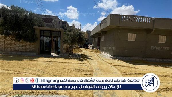 اكتشاف مدينة عنكبوتية عملاقة على الحدود اليونانية الألبانية يذهل العلماء