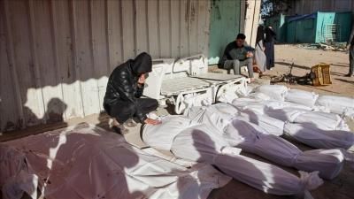 أخبار اليمن : ارتفاع عدد شهداء غزة إلى 70100