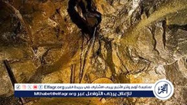 رئيس الوزراء يبحث مع "أنجلوجولد أشانتي" خطط زيادة إنتاج منجم السكري ودعم قطاع الذهب