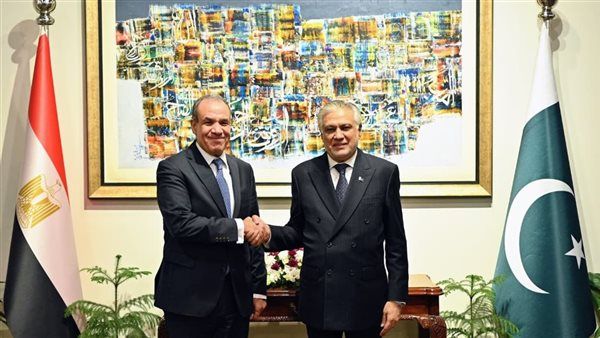 مشاورات سياسية بين وزيرى الخارجية المصرى والباكستاني فى إسلام آباد