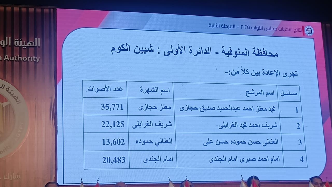 الوطنية للانتخابات تعلن نتائج انتخابات البرلمان فى 14 دائرة بالنظام الفردى