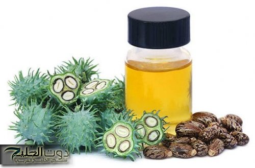 جرب زيت الخروع وفوائده الصحية للبشرة والشعر والجسم