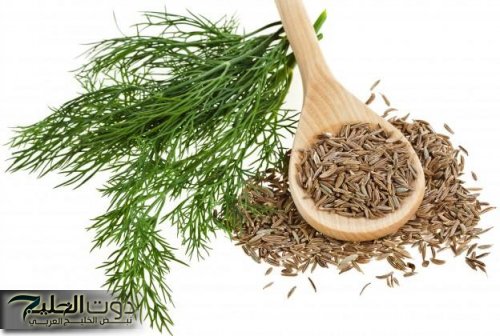 «هتخلي عودك سمباتيك».. عشبة مطبخية سحرية تزيل الكرش دون ريجيم… تعرفوا عليها لا تفوتها