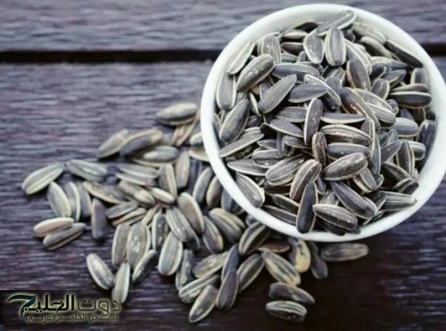 "حارق للدهـون".. ماذا يحدث للجسم عند تناول اللب السوري يوميا؟؟.. 7 فوائد غير متوقعة!!