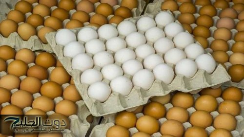 أسعار البيض في الأردن