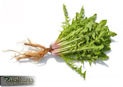 «ضاع عمرنا واحنا نجهل الكنز ده».. عشبة ربانية موجودة فـي كل بيت تنظف القولون وتطرد الغازات وتقضي علي الامساك