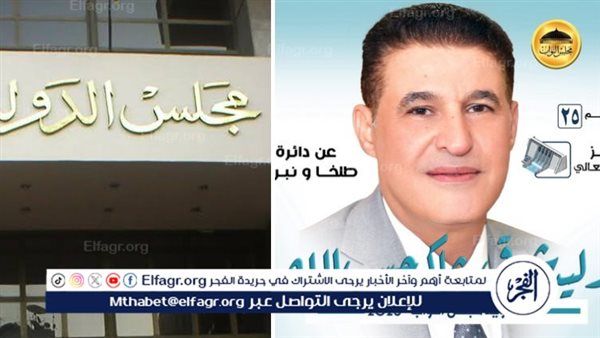 بسبب خطأ في الأرقام ..قبول طعن وليد شوقي شاكر وتصعيده للإعادة بدائرة طلخا ونبروه في الدقهلية