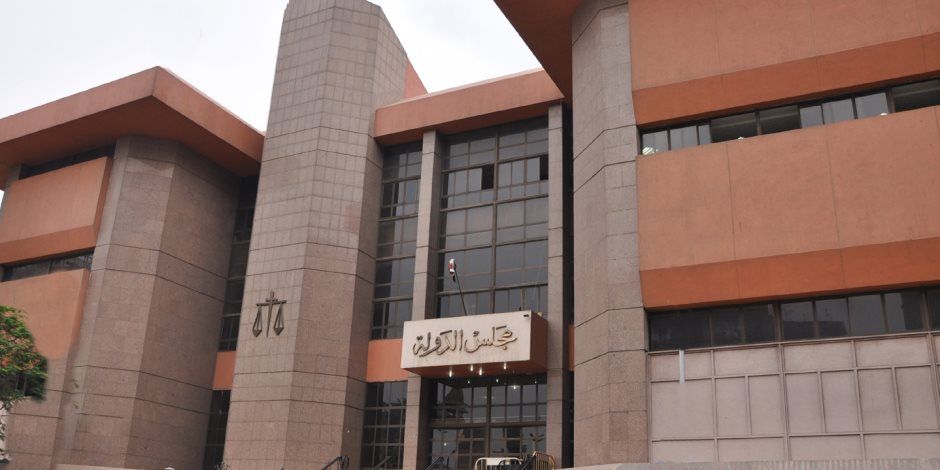 الإدارية العليا تقضى بتصعيد وليد شوقي بدلا من إبراهيم الفضالي بدائرة طلخا بسبب خطأ بالأرقام