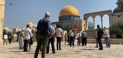 أخبار اليمن : عشرات المستوطنين يقتحمون الأقصى