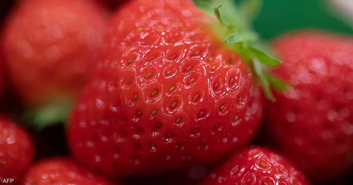 العالم اليوم - لتعزيز جهاز المناعة.. 7 فواكه غنية بفيتامين "سي"