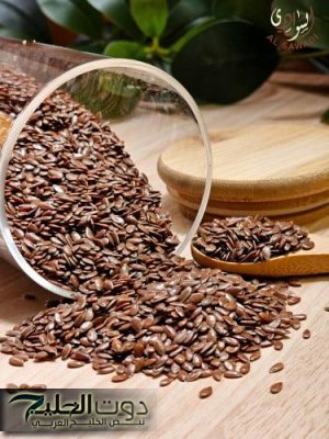 «معجزة من السماء».. عشبة مهملة بعشرين جنيه هترجعك شباب حتى لو عمرك فوق الستين