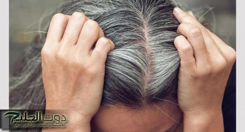 بديل طبيعي للصبغات… مكون واحد قد يساعد على تقليل ظهور الشعر الأبيض مع الاستمرار