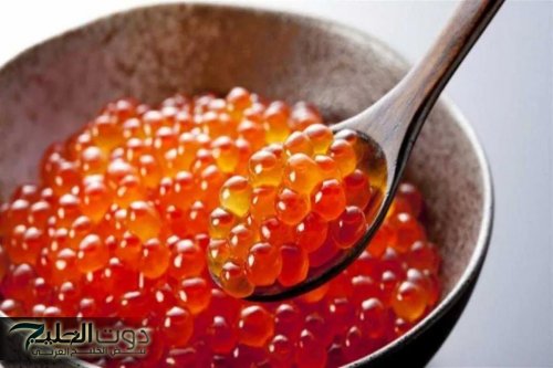 اكتشف فوائد السردين للصحة بأسعار مناسبة