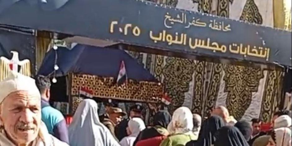 إقبال كثيف على لجان كفر الشيخ في اليوم الأول لجولة الإعادة في انتخابات مجلس النواب
