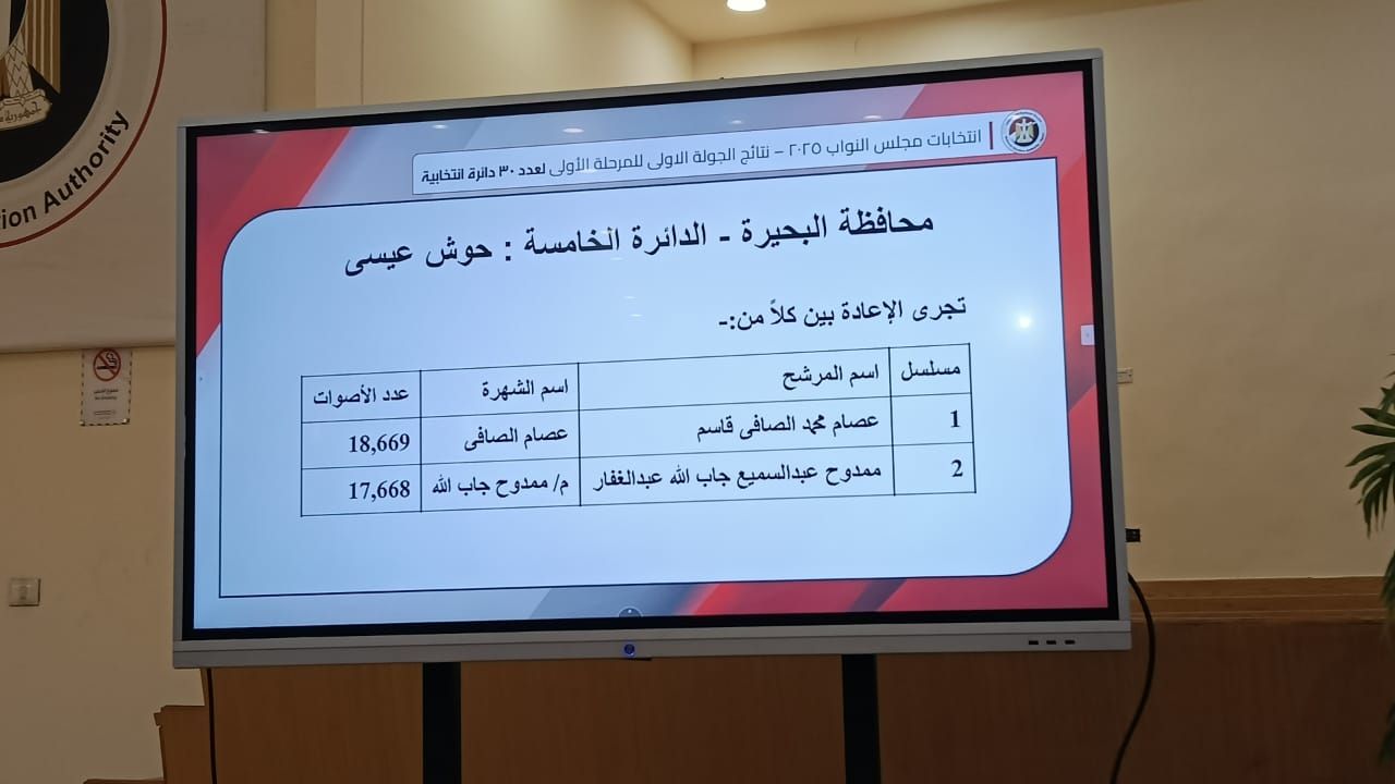 الهيئة الوطنية تعلن نتيحة انتخابات البحيرة فى الـ 30 دائرة الملغاة