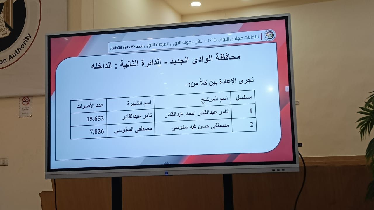 الهيئة الوطنية تعلن نتيحة انتخابات الوادى الجديد فى الـ 30 دائرة الملغاة