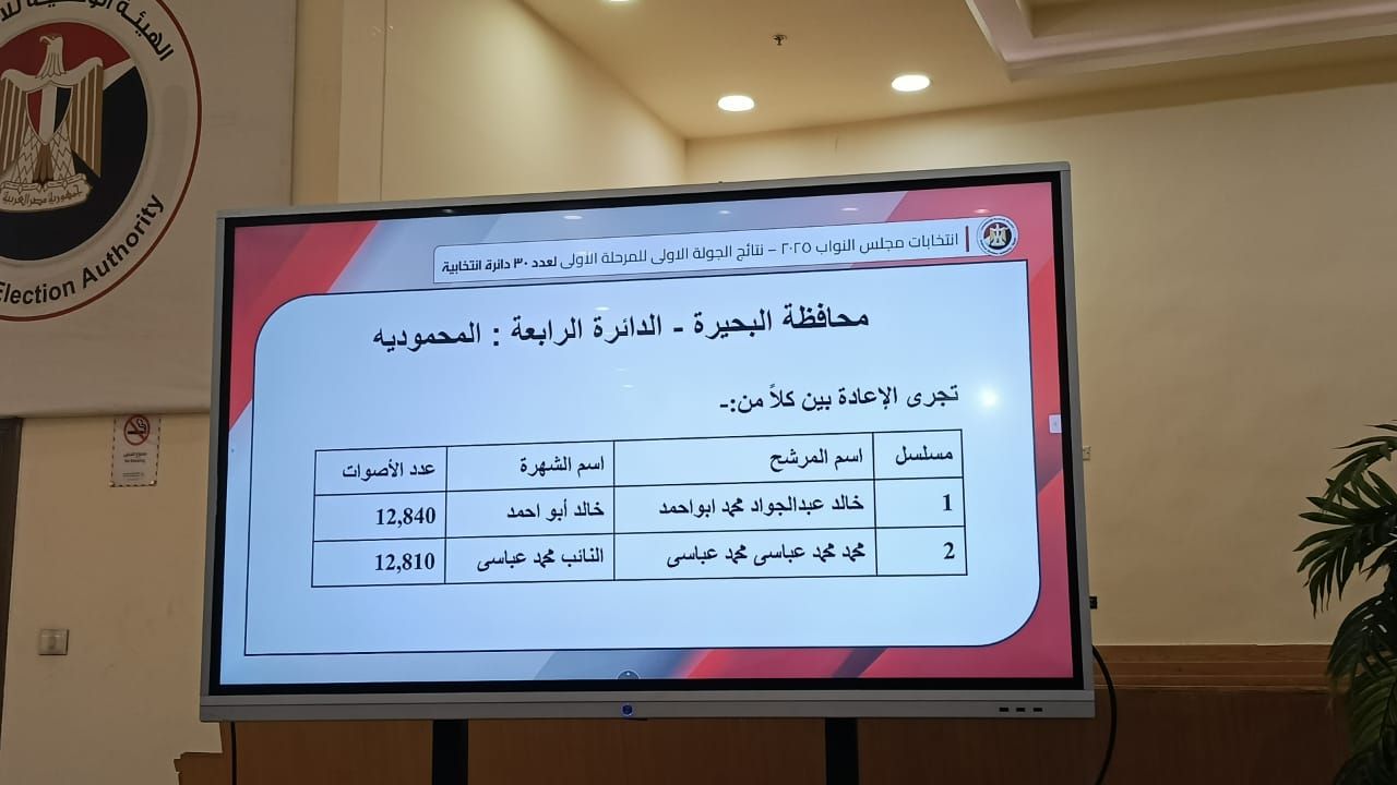 الهيئة الوطنية تعلن نتيحة انتخابات البحيرة فى الـ 30 دائرة الملغاة