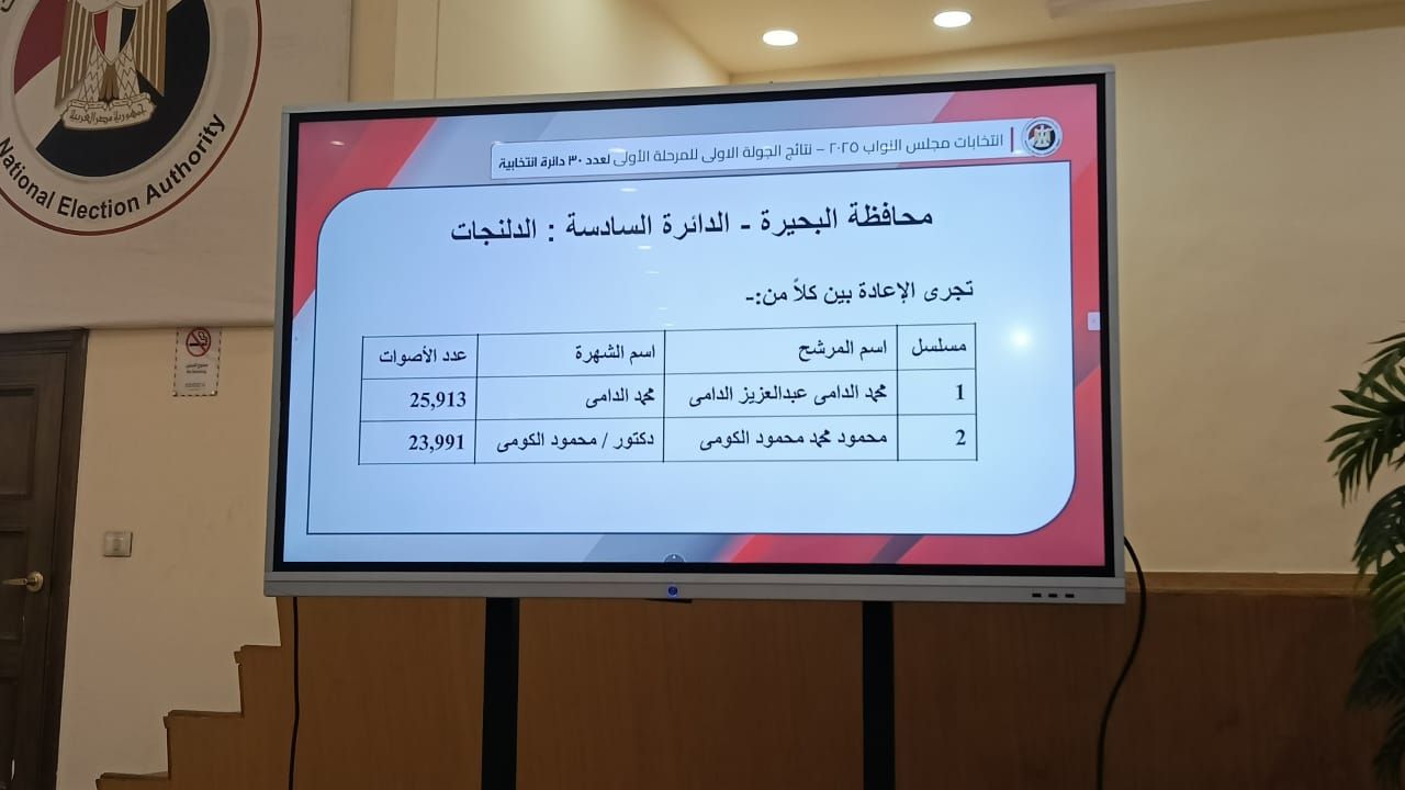 الهيئة الوطنية تعلن نتيحة انتخابات البحيرة فى الـ 30 دائرة الملغاة
