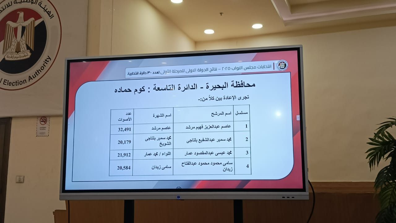 الهيئة الوطنية تعلن نتيحة انتخابات البحيرة فى الـ 30 دائرة الملغاة