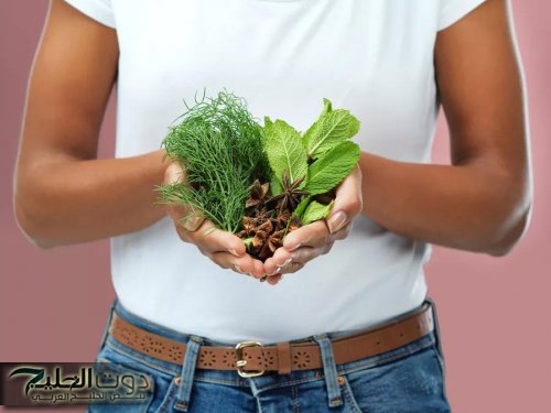 "أقوى من مليون ريجيم"نهاية السمنة بالأعشاب اكتشفي أقوى نباتات تذيب الدهون وتسد الشهية وداعا للكرش