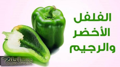 "مش محتاجة أعشاب غالية أو أدوية ضارة!".. بذور الفلفل الأخضر سر طبيعي للتخلص من الدهون العنيدة