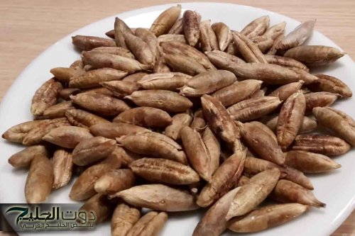 هترجعي شبابك من تاني.. طريقة عمل ماسك نواة البلح لإزالة التجاعيد وترطيب البشرة هتشوفي النتيجة من أول مرة