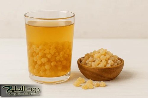 لن تصدق ماذا يحدث عند حرق 5 قطع من لبان الذكر في المنزل لو عرفتم السر لفعلتم هذا الشئ يومياً