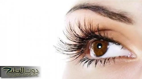اظهرى جمال عينك.. وصفة سحرية لتقوية وتكثيف الرموش